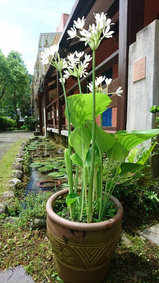 Monet Garden Coffee Farm Apartment Chinan Екстериор снимка